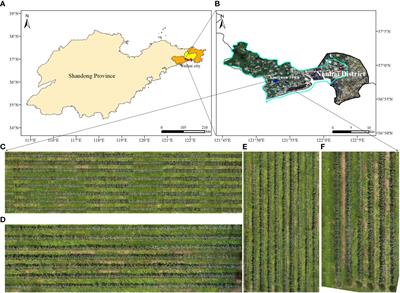 Automatic <mark class="highlighted">instance segmentation</mark> of orchard canopy in unmanned aerial vehicle imagery using deep learning